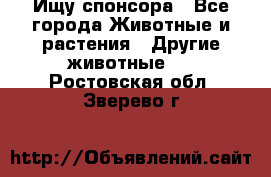 Ищу спонсора - Все города Животные и растения » Другие животные   . Ростовская обл.,Зверево г.